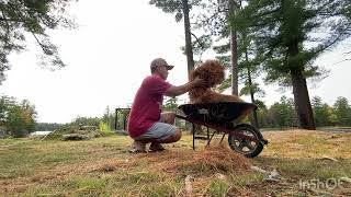 Muskoka cottage autumn clean up [upl. by Harms]