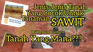 Jenisjenis tanah yang cocok untuk budidaya kelapa sawit yang wajib kamu ketahui [upl. by Michel]