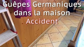 🔴LIVE Accident Guêpes germaniques dans la maison [upl. by Holman745]