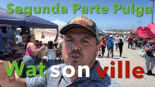 La Pulga de Watsonville [upl. by Naek]