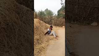 Ye pyar me kyu hota hai youtubeshorts santali funny comedy [upl. by Yztim]