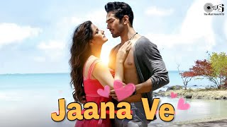 Jaana Ve Jaana Ve Mohabbat Karte Rehna Re  Arijit Singh  Zareen Khan  Aksar 2  Romantic Song [upl. by Annoval845]