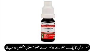 Abrotanum 30 benefits Uses and Symptoms  Homeopathic Medicine  By Dr Ataullah [upl. by Irvin]