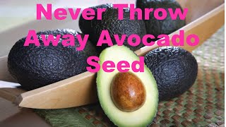 Never Throw Away Avocado Seed  Life Hacks [upl. by Roice]