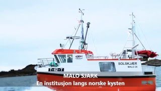 Ny 36ft Malo sjark [upl. by Alikat310]