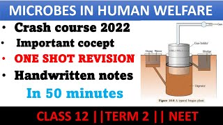 Microbes in human welfare class 12  one shot revision for term 2 amp Neet in hindi [upl. by Melia]