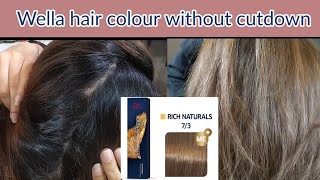 Wella hair colour  Hair colour at Home  Wella koleston how to use  Real Beauty Secrets [upl. by Stead]