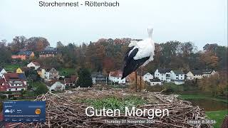 2024 11 07 Storchennest Röttenbach Guten Morgen ein Rötti ist anwesend 🤣🤣🤣🤣 [upl. by Andeee60]