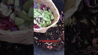 Composting in bucket composting homemade compostwithvapra greenmixpowder waste [upl. by Damahom]