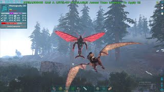 Ark survival evolved The Island Taming New Dinos and Making Farms [upl. by Akerehs43]