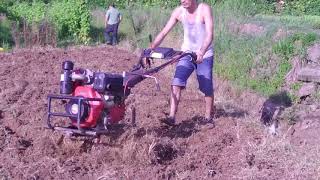 186F 10hp Diesel tiller Power weeder walking tractor with Easy Turning System working in Dryland [upl. by Tnahs]