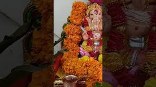 Kapuram goram aartiaarti youtubeshort viralshort subscribers [upl. by Nonnairb]