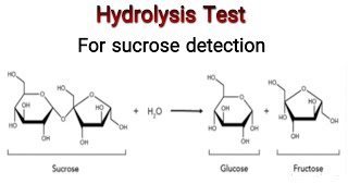 Hydrolysis Test for sucrose Knowledge Academy [upl. by Nosliw]