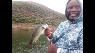 Diamond Valley Lake EP22 MidSpring Water warming bass 1lb  3lbbassfishing dvl spawn [upl. by Weyermann239]