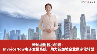 新加坡财税小知识：InvoiceNow电子发票系统，助力新加坡企业数字化转型 [upl. by Noryak]