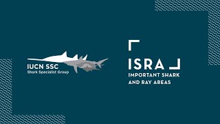 Important Shark and Ray Areas  ISRA [upl. by Stranger]