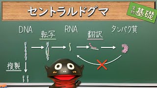 セントラルドグマ【72生物基礎】新課程対応 [upl. by Orman]