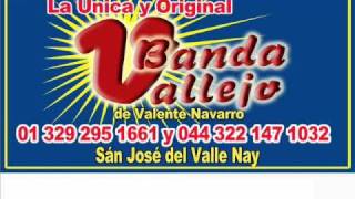 QUE TE HIZO OLVIDARME BANDA VALLEJOwmv [upl. by Eahc312]