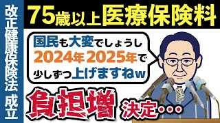 【2024年度から】75歳以上の医療保険料がこんなに増える？後期高齢者医療制度の保険料引き上げについて解説【老後年金153万円以上は注意】 [upl. by Kenric863]