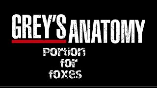 GREYS ANATOMY  Lyrics  portion for foxes [upl. by Fafa]