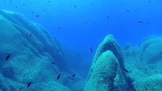 Immersione Secca SCaterina Colori e Squalo di Pietra 30m Scuba Diving  Yi 4K Plus Action Cam [upl. by Irina72]