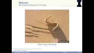 Bio inspired Learning of Sensorimotor Control for Locomotion [upl. by Letty348]