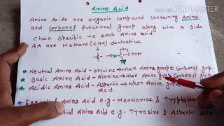 Amino acids easily explainedHindi [upl. by Liddie]