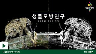 국립생태원 생물모방연구생태학과 공학의 만남도토리거위벌레 [upl. by Tempest]