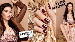 PREVIEW trend it up Terra Attitude LE ¦ Mila [upl. by Nosremaj]