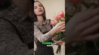 ¡Revoluciona tu Hogar con el Florero Extinguidor de Samsung [upl. by Jeminah]