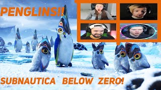 Gamers React To The Pengwings  Subnautica Below Zero [upl. by Acinoda]