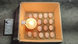 Incubator for chicken eggs  How to hatch a chicken egg at home [upl. by Albert39]