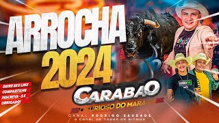 CARABAO ARROCHA EDIÇÃO ESPECIAL 2024 [upl. by Haynes]