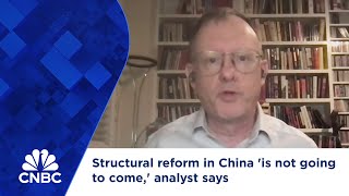 Structural reform in China is not going to come analyst says [upl. by Sapienza474]