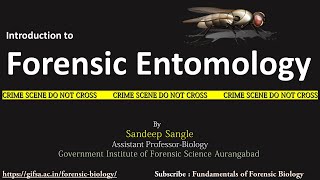 Forensic Entomology [upl. by Marlane]