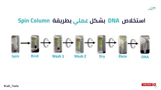 DNA extraction spin column based method [upl. by Ehpotsirhc]