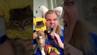 Medusa SweetTooth ASMR Cringe Squirrel Whisper Poor Cat [upl. by Hayidah]