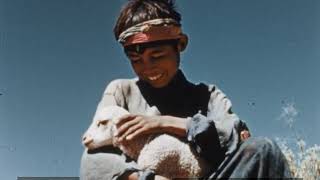 The Navajo Indian 1943 [upl. by Cyprio]