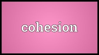 Cohesion Meaning [upl. by Vizzone375]