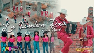 La Pantera Rosa Huapango Video Oficial  Loz Tirikumbia [upl. by Llered]