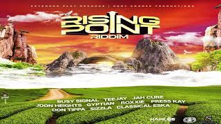 RISING POINT Riddim 2021 Reggae SelectakNA [upl. by Anir]