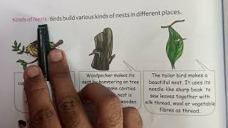 4th class EVS  Ch11   Reading  Explanation Part–4 [upl. by Htabazile]