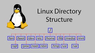 Learn Linux 2  Linux Filesystem Hierarchy standard [upl. by Gibun]