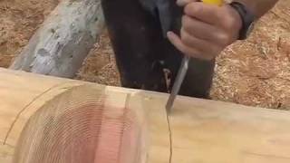 Scoring a Saddle Notch for Log Cabin Construction [upl. by Esdras]