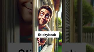 Stickybeak  English word of the day [upl. by Winny]