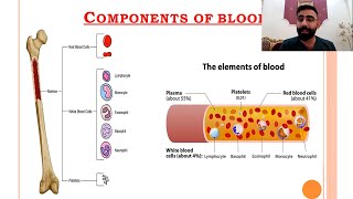 Hematology quotPhysiology of the Bloodquot Lec1 part1 طب بغداد [upl. by Einneg]