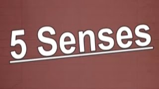 5 Senses Song  The 5 Senses  5 Sense for Kids  Jack Hartmann [upl. by Rriocard958]