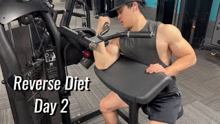 Reverse Diet Day 2 Shoulders amp Arms [upl. by Pagas]