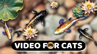 CAT GAMES  Relaxing Koi Fish Pond Videos for Cats  CAT TV  1 Hour [upl. by Sydel]