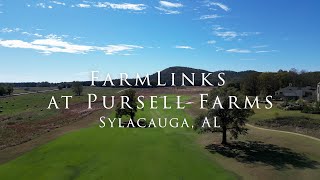 FarmLinks at Pursell Farms Drone Flyover [upl. by Ad]